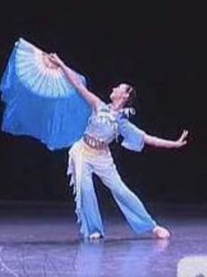 舞蹈演出服 临水 鸿舞衣舞蹈服装 订做