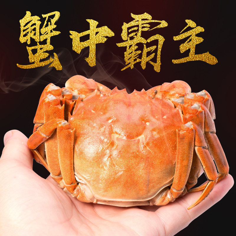 【蟹中霸主】 北京闪送大闸蟹鲜大闸蟹