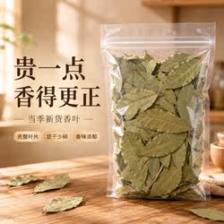 广西玉林香叶干货当季新货完整叶片足干少碎香味浓郁调味料