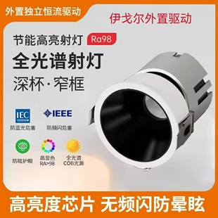 伊戈尔驱动射灯深杯防眩护眼无主灯小山丘COB窄边高端洗墙灯客厅