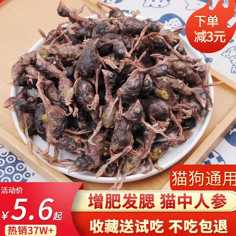 98W+销量鹌鹑冻干猫零食发腮磨牙