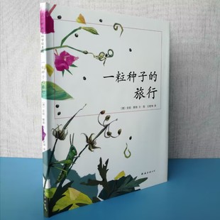 旅行 儿童7 现货 12岁小学生课外阅读书籍图画书 荣获德国Luchs文学科普大奖杰作7 一粒种子 绘本书非注音版 正版 10岁科普书