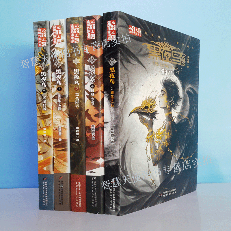 正版现货 黑夜鸟 全系列5册套装黄颖曌儿童文学金牌作家书系4白昼永恒3回忆之踪2之迷途夏域1黑夜陨歌5遗落之石中国少年儿童出版社