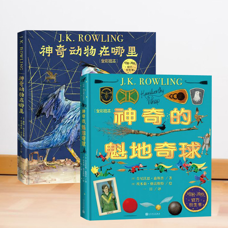 神奇动物在哪里外国儿童文学童话故事探索魔法世界飞天扫帚的演变