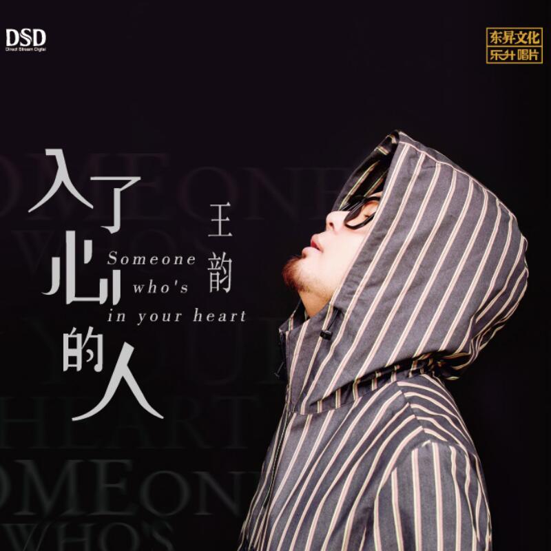 正版男声发烧碟 王韵 入了心的人 DSD CD无损音质试机碟HIFI碟片