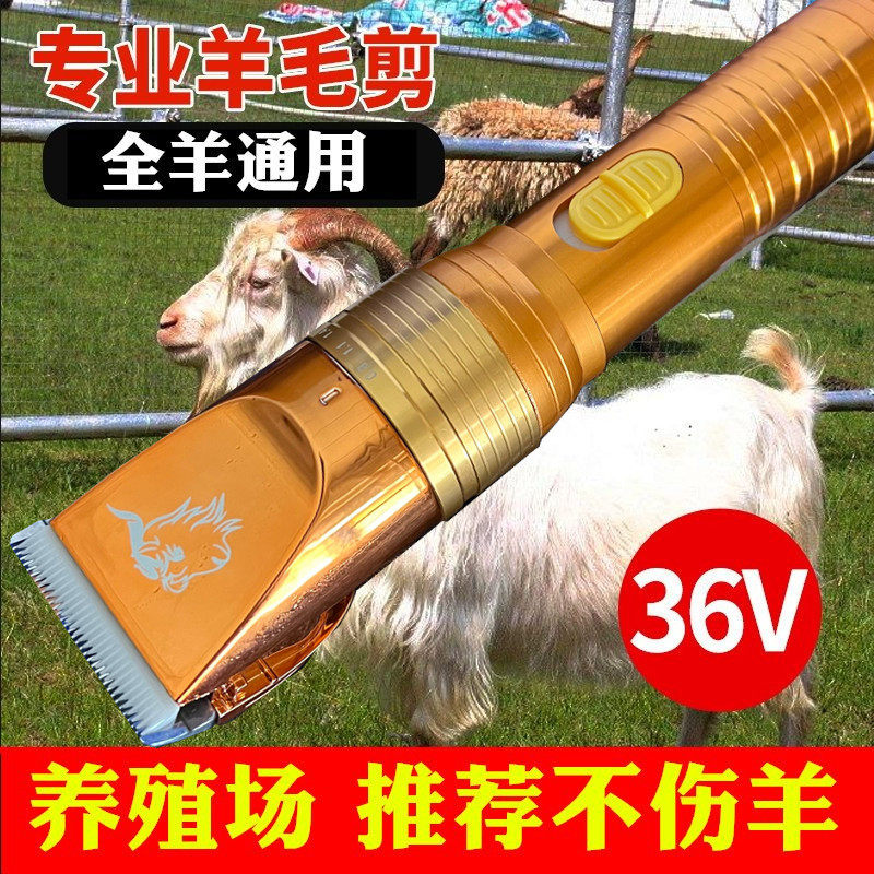 力狼36V羊毛电推剪大功率带线电推子剃绒山羊绵羊兔毛大型犬剪毛