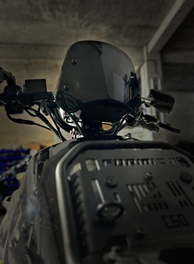 三阳小蚂蚁4MICA挡风板 独家原创 竞技小风挡 黑化风挡带支架一套