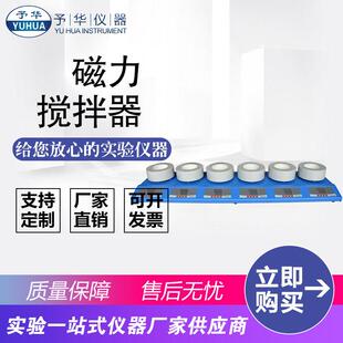 DLS ZNCL 6联100ml250ml500ml1000ml数显磁力搅拌电热套