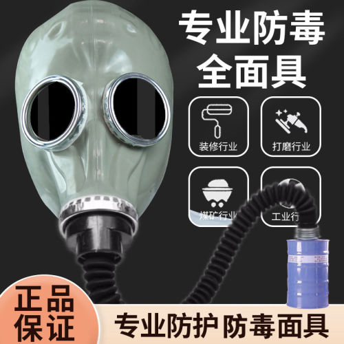 防毒面具全面罩防二氧化碳