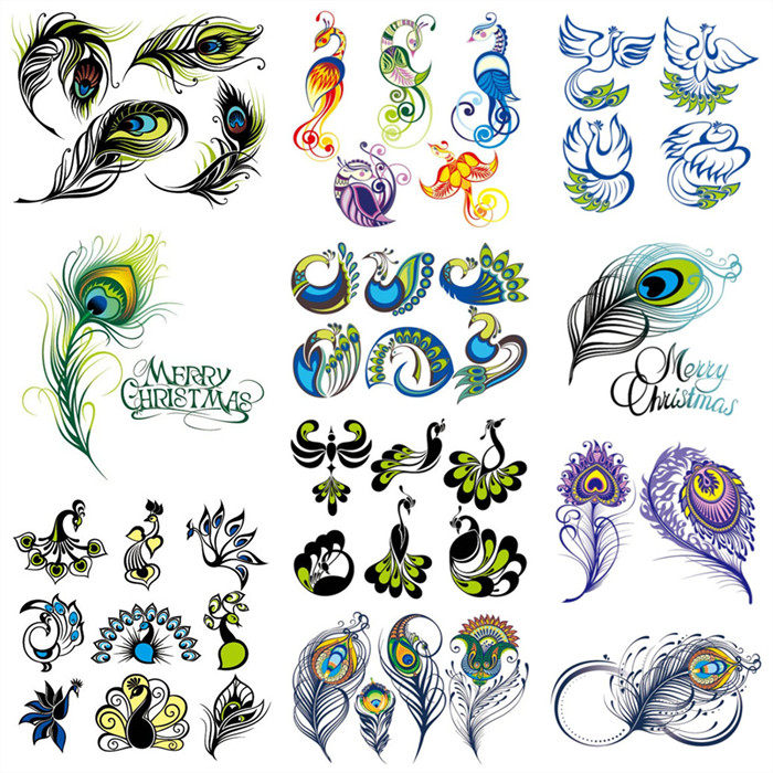 a0826矢量ai设计素材 彩色孔雀羽毛抽象插图花纹logo图案