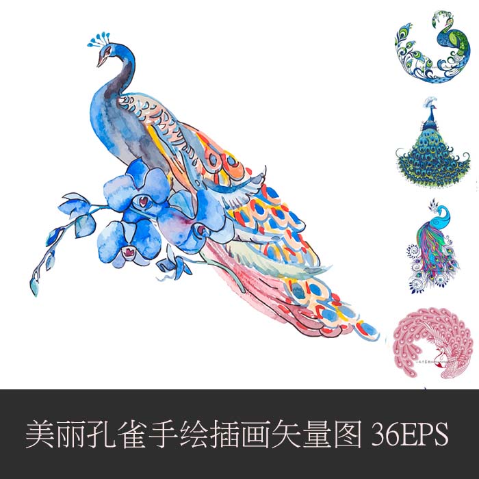 A0487矢量AI设计素材美丽孔雀水彩手绘插图logo背景插画