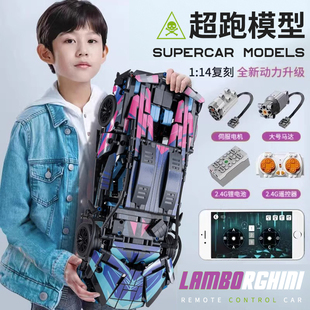 遥控汽赛车儿童男孩玩具礼物 中国积木兰博基尼积木跑车高难度拼装