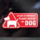 玻璃窗贴花有狗提示DOG INSIDE请在紧急情况下救援宠物安全贴纸