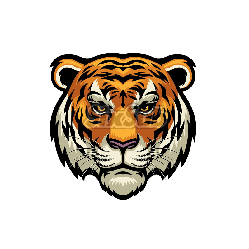 tiger adv老虎头冒险穿越越野反光镭射车贴贴画#1284