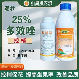 剑牌速壮25%多效唑荔枝控梢生长调节剂多效唑悬浮剂农药