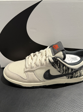 正品NIKE耐克男子板鞋DUNK LOW经典复古百搭运动休闲鞋IB7720-110