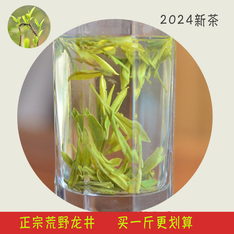 2023龙井新茶荒山野茶250g笑书神高山龙井浓香大佛龙井茶叶绿茶龙