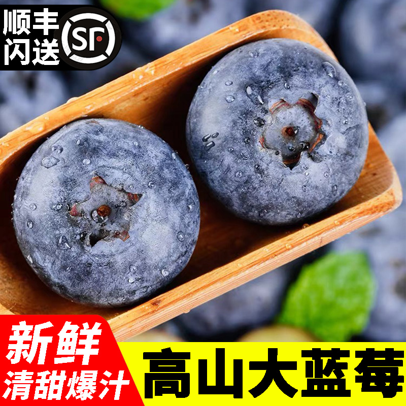 【顺丰】新鲜大果蓝莓 水果当季时令孕妇宝宝可食 送礼 整箱甜莓 水产肉类/新鲜蔬果/熟食 蓝莓 原图主图