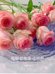 一件顺丰包邮艾莎玫瑰家庭办公室水养插花婚庆用花商务用