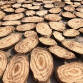 野生葛根片500g湖南正宗柴葛片无硫葛根块农家葛根茶1斤装 泡水