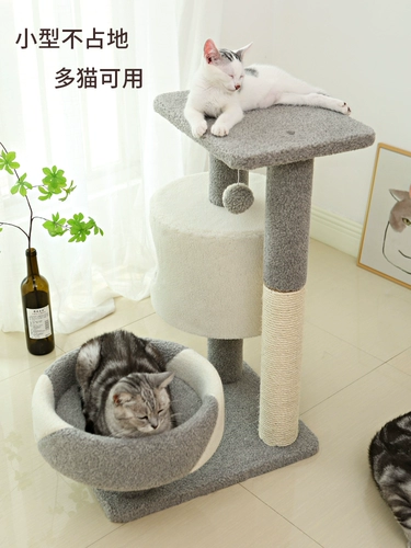 Мо Ян поднимается на стойку для кошки маленькая кошачья кошка Платформа Платфорта для меча