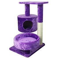 Hibiscus Purple Plush