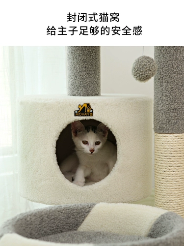 Мо Ян поднимается на стойку для кошки маленькая кошачья кошка Платформа Платфорта для меча