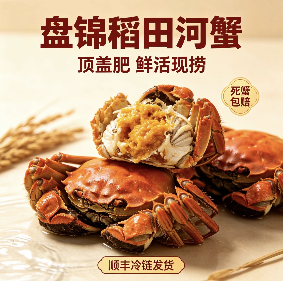 盘锦稻田鲜活现捞大闸蟹
