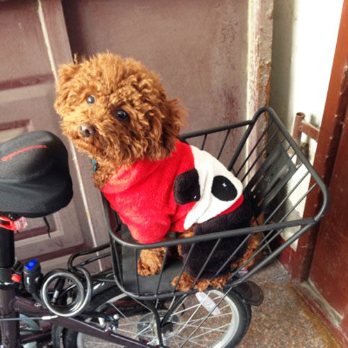 Panier pour vélo - Ref 2257501 Image 1