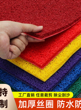 丝圈塑料地毯防滑垫子进门裁剪