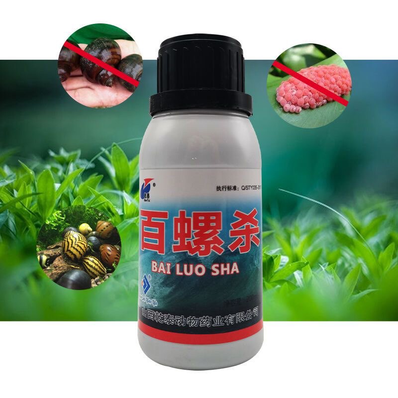 鱼缸杀螺药灭螺鱼虾安不伤虾蟹稻田水产养殖塘杀福寿螺钉螺浮锥螺