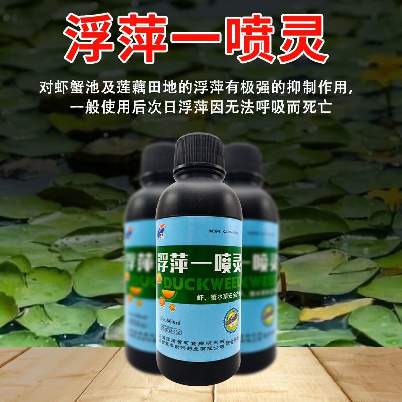 浮萍一喷灵水产养殖不伤水草稻田鱼虾水塘莲藕杀灭除浮萍清理药净 - 实物图