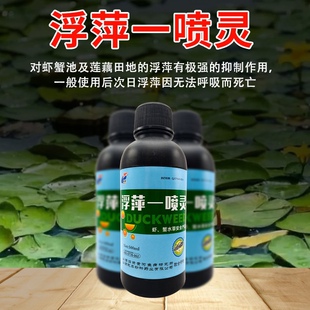 浮萍一喷灵水产养殖不伤水草稻田鱼虾水塘莲藕杀灭除浮萍清理药净