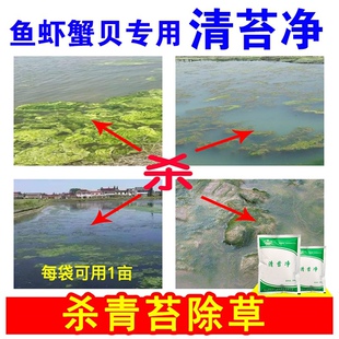 水产鱼药苏亚达清青苔净青泥苔杀水绵藻水网藻蓝藻丝状藻不伤鱼虾