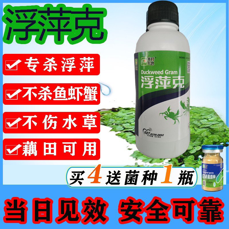 浮萍克星水产养殖不伤鱼虾蟹水塘除浮萍净水塘莲藕杀灭除浮萍清理
