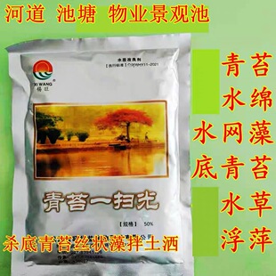 水产用青苔处理青苔一扫光水绵水网藻沉水草浮萍物业景观河道治理