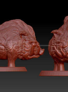 野猪王圆雕图stl模型三维图立体图精雕图3d打印非实物