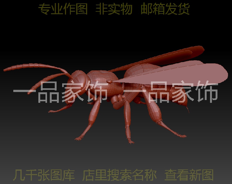 黄蜂 圆雕图stl模型三维图立体图精雕图3d打印非实物