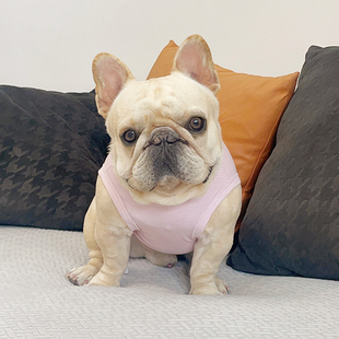 三色小熊英法斗泰迪恶霸犬巴哥西高地胖狗卫衣服可爱透气不沾毛夏