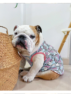 口香糖背心宠物衣服潮牌英法斗牛犬恶霸巴哥泰迪比熊胖狗夏季适用