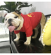 我爱中国卫衣英国斗牛犬法斗泰迪恶霸犬巴哥胖狗狗宠物衣服适用