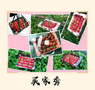 2023新款热销草莓包装盒纸盒 红色手提水果纸箱礼品盒 2斤5斤装