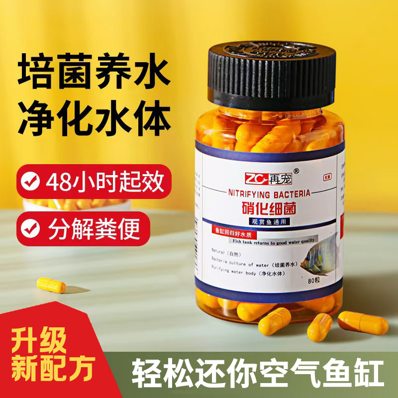 水质清澈剂 强效硝化细菌  水质稳定剂 降氨氮稳水质 除藻除鱼便