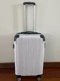 Японский самолет, багажный чемодан, 22 дюймов, зеркальный эффект