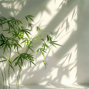 新中式新款直播间背景墙古风纱幔庭院竹影风景林中小屋主播背景布