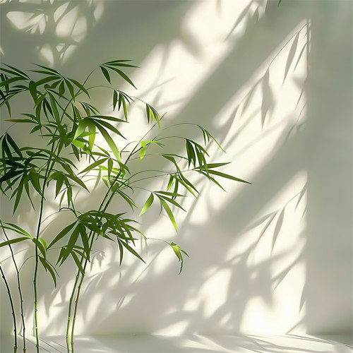 新中式新款直播间背景墙古风纱幔庭院竹影风景林中小屋主播背景布