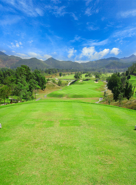 户外草坪直播背景墙主播高尔夫球场仿真装饰拍照高清3d立体背景布