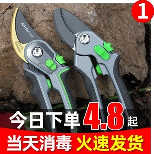 剪枝果树园艺剪剪刀修枝剪花剪园林省力花艺工具树枝修剪粗枝剪子
