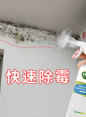 宏枫墙体专用神器除霉剂