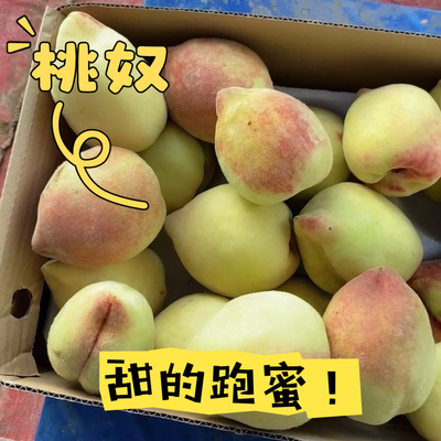 深州蜜桃奴河北马庄特产特甜毛桃新鲜应季现摘中秋礼品香甜小桃奴